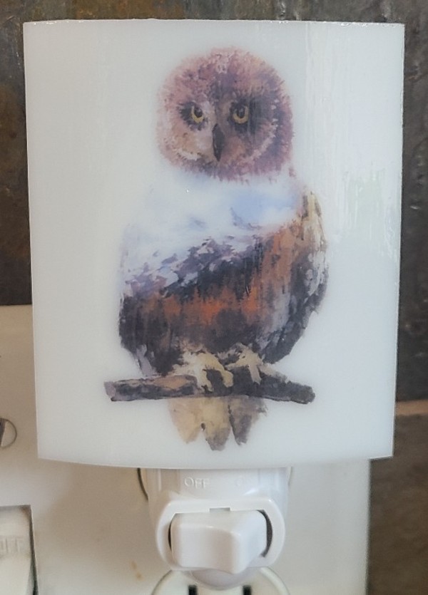 Nightlight-Owl Mountain Scene by Kathy Kollenburn