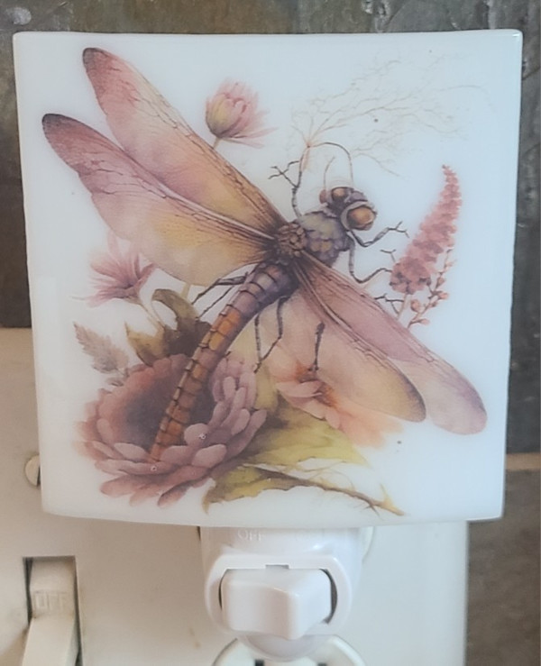 Nightlight-Dragonfly by Kathy Kollenburn