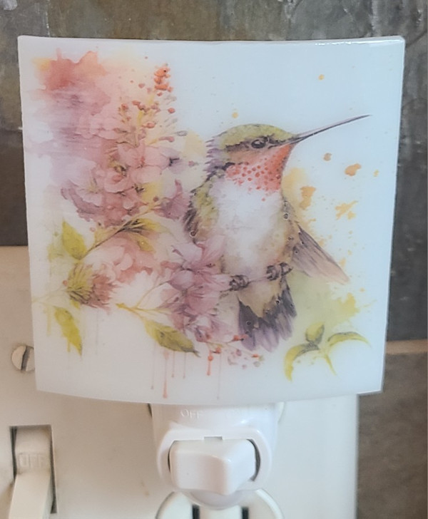 Nightlight-Hummingbird with Flowers by Kathy Kollenburn