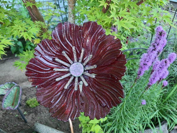 Garden Flower-Deep Red with Dichroic Center