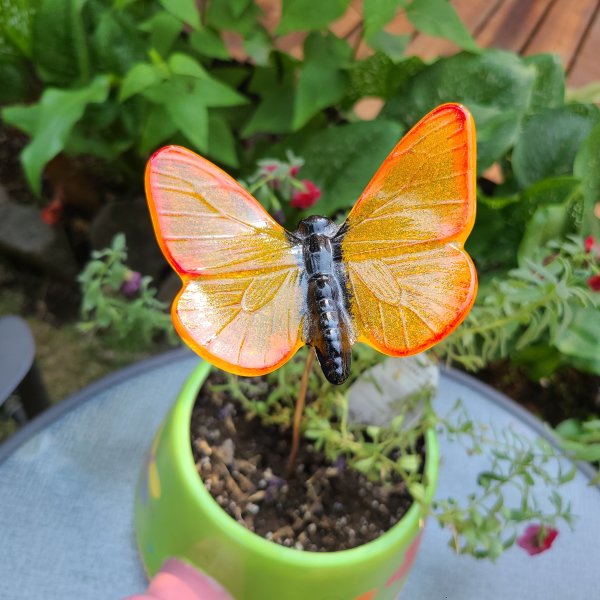 Plant Pick-Large Butterfly in Oranges