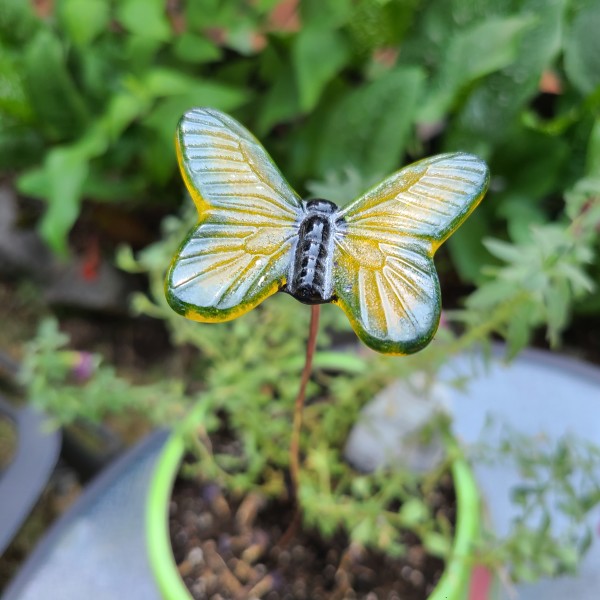 Plant Pick-Small Butterfly in Yellow & Green by Kathy Kollenburn