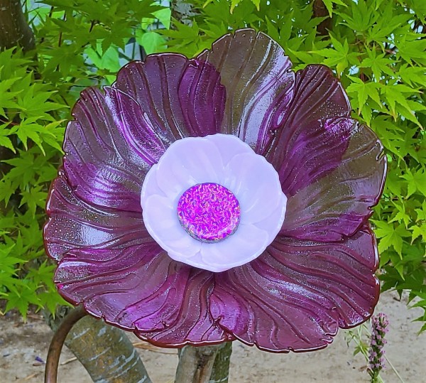 Garden Flower-Purplish Pink Irid with Pink Bowl and Dichroic Center