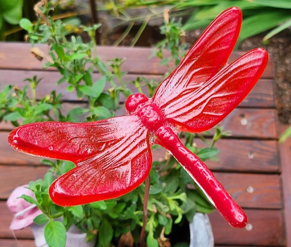 Plant Pick-Red/Orange Dragonfly, Large