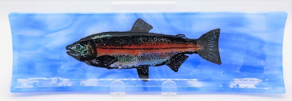 Long Tray-Rainbow Trout on Blue/White Streaky