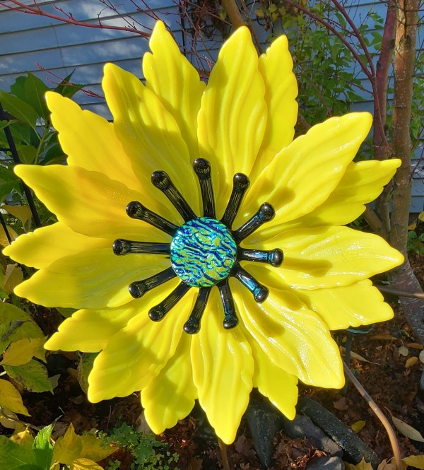 Garden Flower-Yellow with Black Stamens and Dichroic Center
