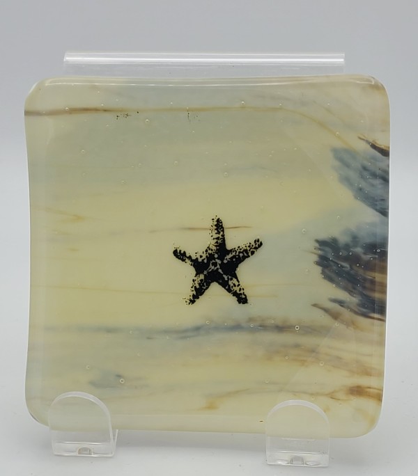 Small Plate with Starfish on French Vanilla Streaky by Kathy Kollenburn