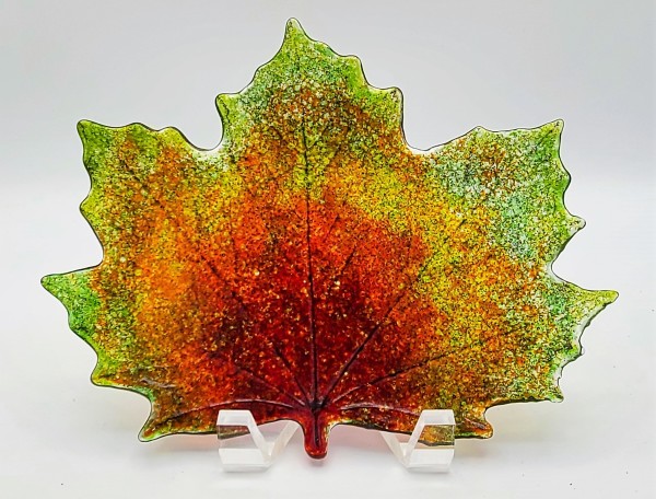 Maple Leaf Plate-Autumn Colors by Kathy Kollenburn