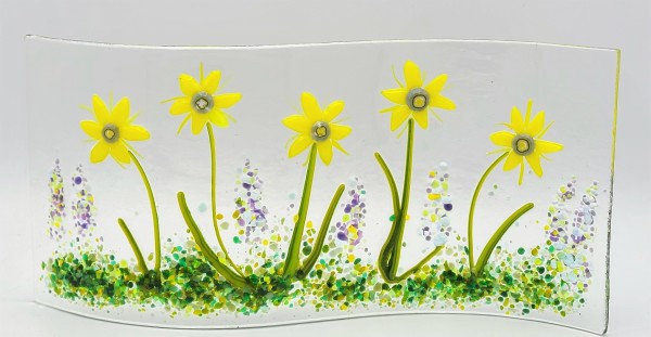 Garden Curve-Yellow Daisies by Kathy Kollenburn