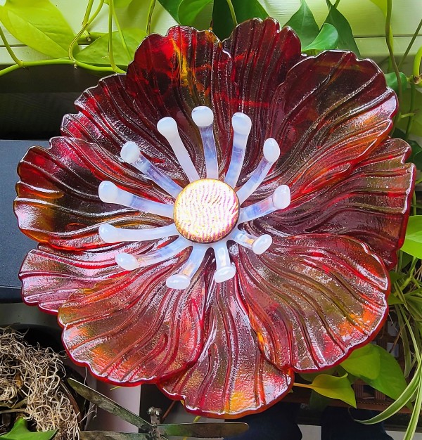 Garden Flower-Red/Orange Streaky with White Stamens and Dichroic Center