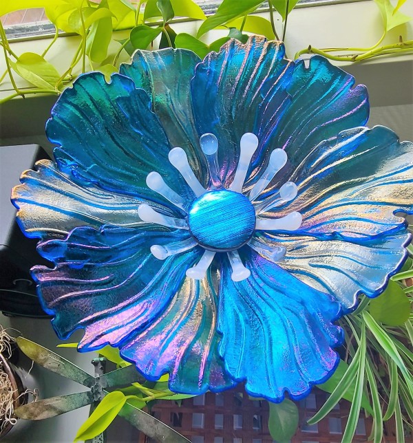 Garden Flower-Turquoise Blue Irid with White Streaky Stamens and Dichroic Center