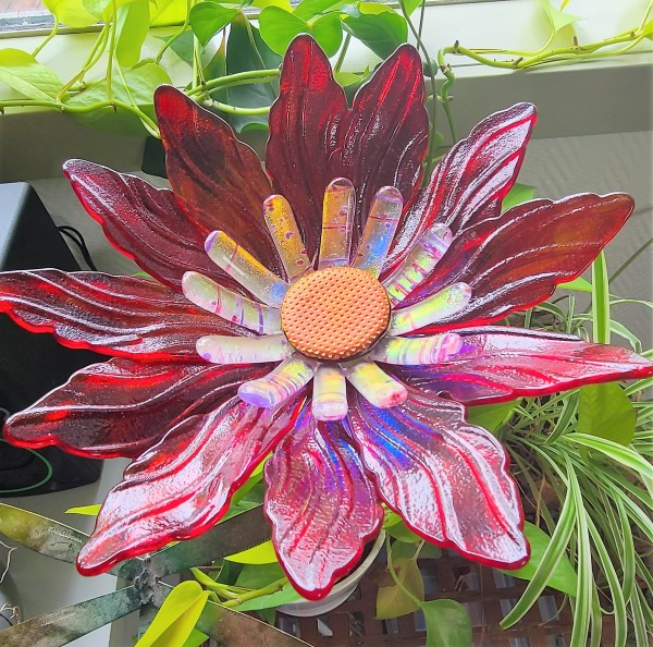 Garden Flower-Red/Orange Streaky with Dichroic Stamens and Dichroic Center