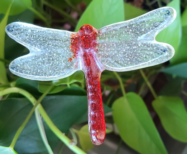Plant Pick-Dragonfly, in Red with Amber Tint Wings, Medium