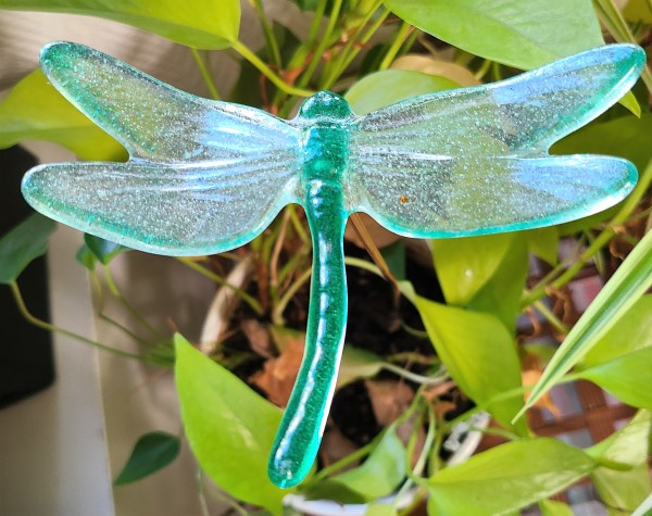 Plant Pick-Dragonfly in Greens by Kathy Kollenburn