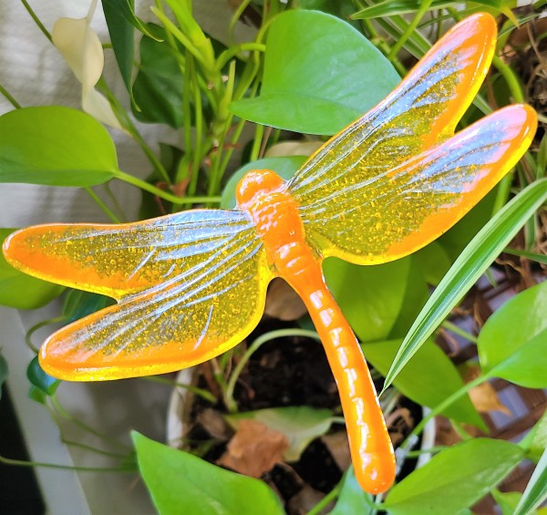 Plant Pick-Dragonfly in Oragnges