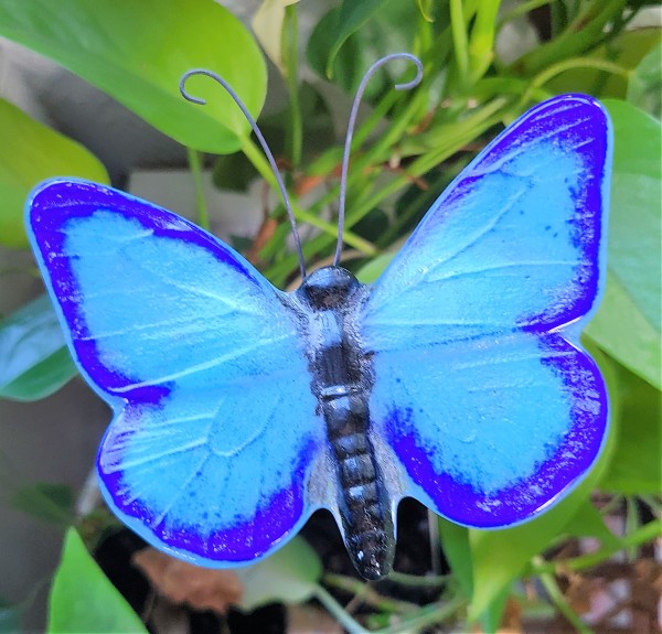 Plant Pick-Butterfly in Blues by Kathy Kollenburn