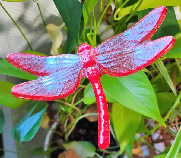 Plant Pick-Dragonfly in Reds by Kathy Kollenburn