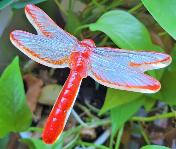 Plant Pick-Dragonfly, Medium in Oranges/Clear