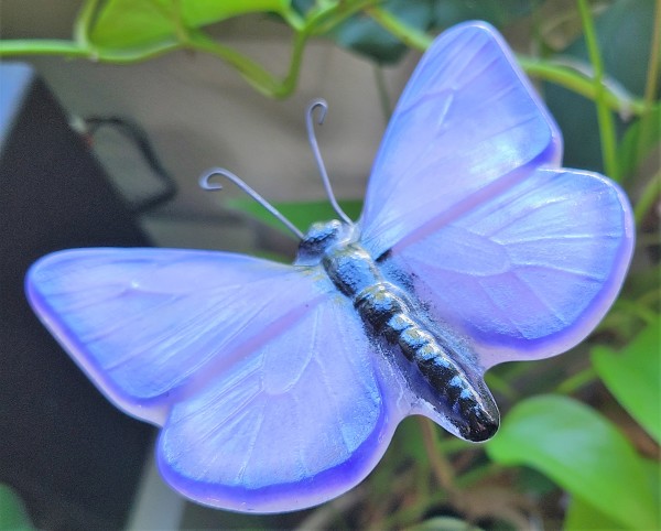 Plant Pick-Butterfly, Large in Pink/Purple by Kathy Kollenburn