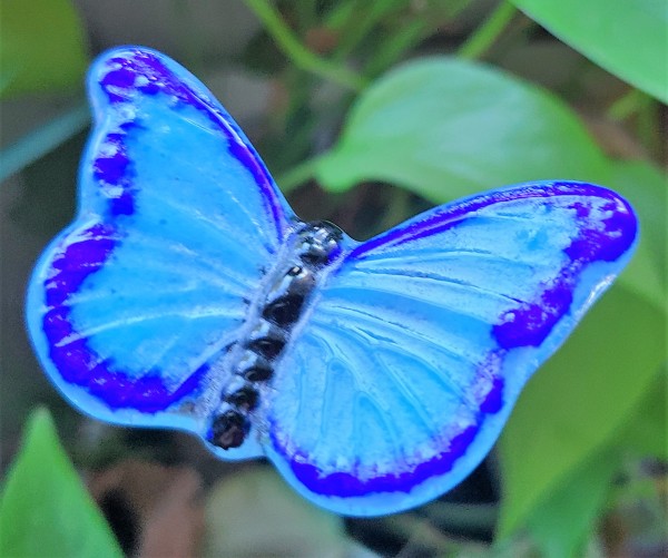 Plant Pick-Butterfly, Small in Blues by Kathy Kollenburn