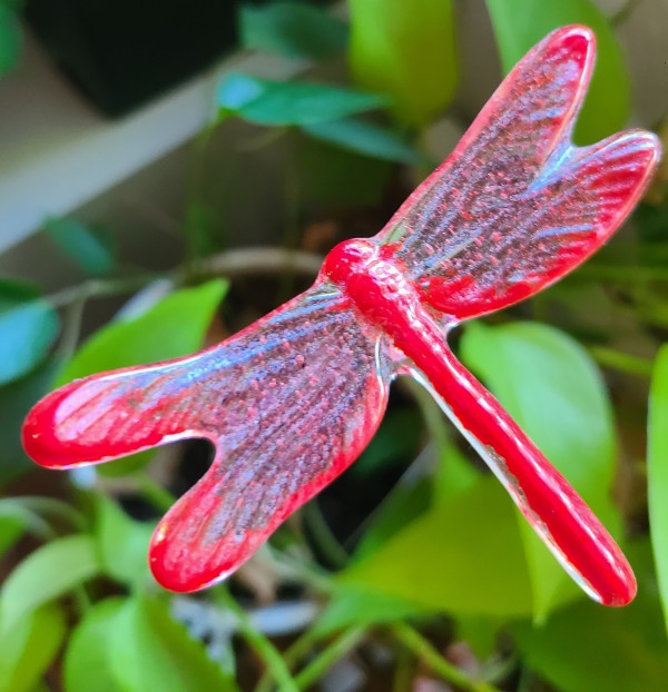 Plant Pick-Dragonfly, Medium in Reds by Kathy Kollenburn