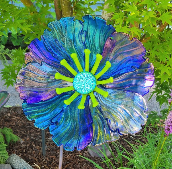 Garden Flower-Sky Blue Irid with Spring Green Stamens and Dichroic Center by Kathy Kollenburn