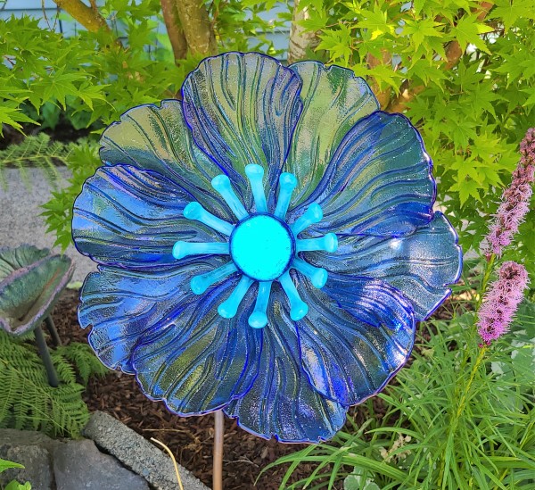 Garden Flower-Sky Blue Irid with Blue Streaky Stamens and Dichroic Center