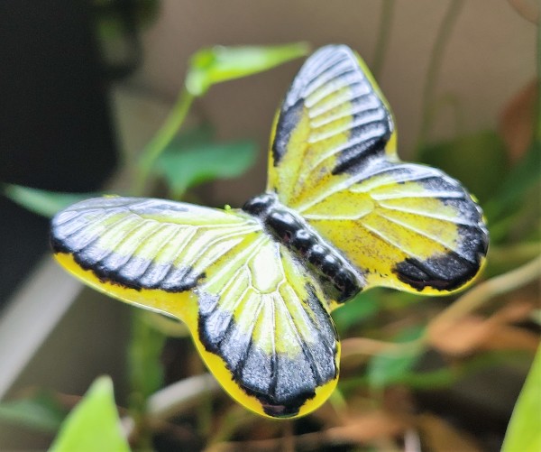 Plant Pick-Butterfly, Small in Yellow/Black by Kathy Kollenburn