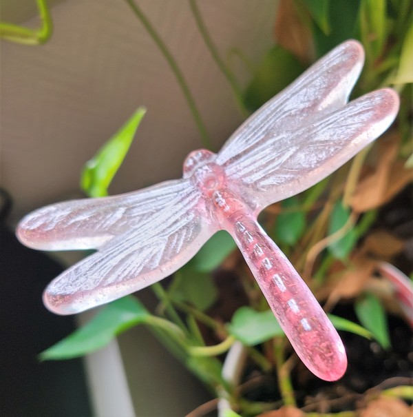 Plant Pick-Dragonfly, Medium in Pinks by Kathy Kollenburn