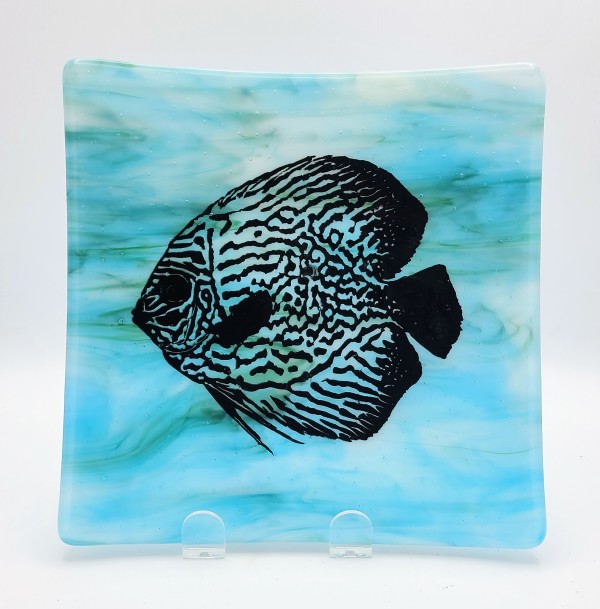 Discus Fish in Blue/White/Green Streaky by Kathy Kollenburn