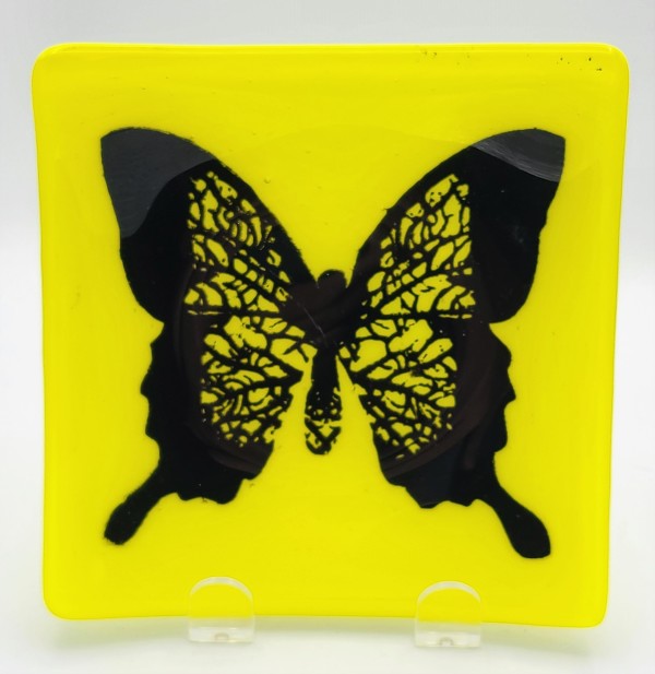 Plate with Butterfly on Yellow