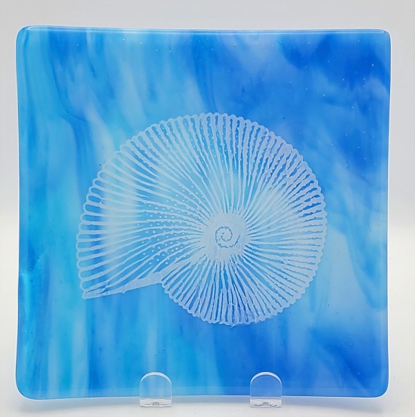Plate-Nautilus on Blue Streaky by Kathy Kollenburn