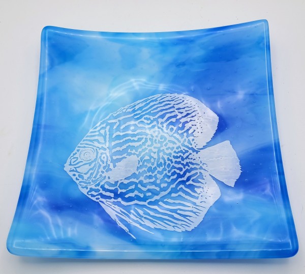 Plate with White Discus Fish on Blue/White Streaky by Kathy Kollenburn