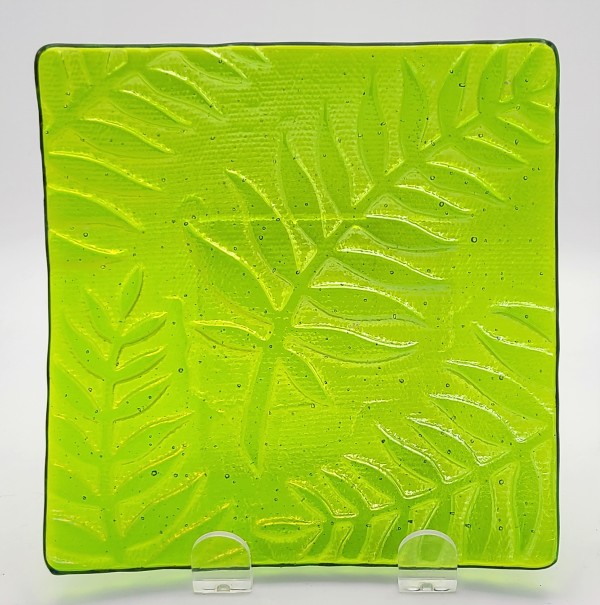 Plate-Spring Green Irid with Fern Imprint by Kathy Kollenburn