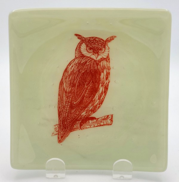 Small Plate-Red Owl on Light Gray by Kathy Kollenburn