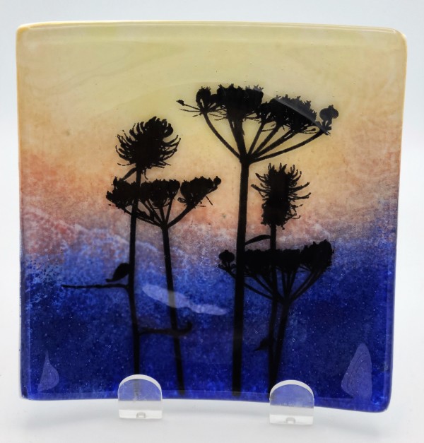 Small Plate-Sunset with Queen Anne's Lace Silhouette by Kathy Kollenburn
