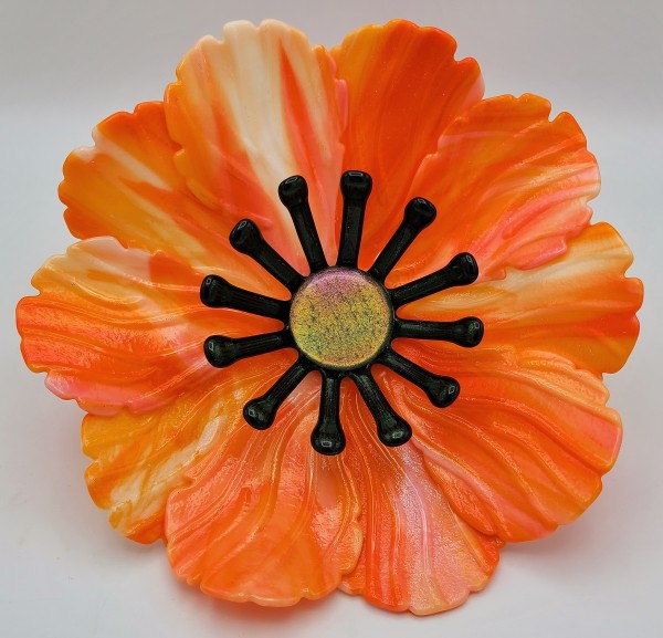 Garden Flower-Orange/White Streaky by Kathy Kollenburn