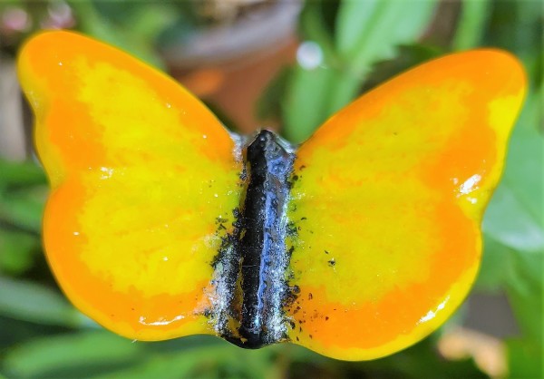 Plant Pick, Butterfly, Small-Yellow/Orange/Black by Kathy Kollenburn