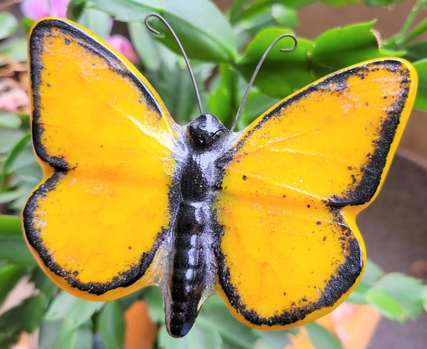 Plant Pick, Butterfly-Gold/Black by Kathy Kollenburn