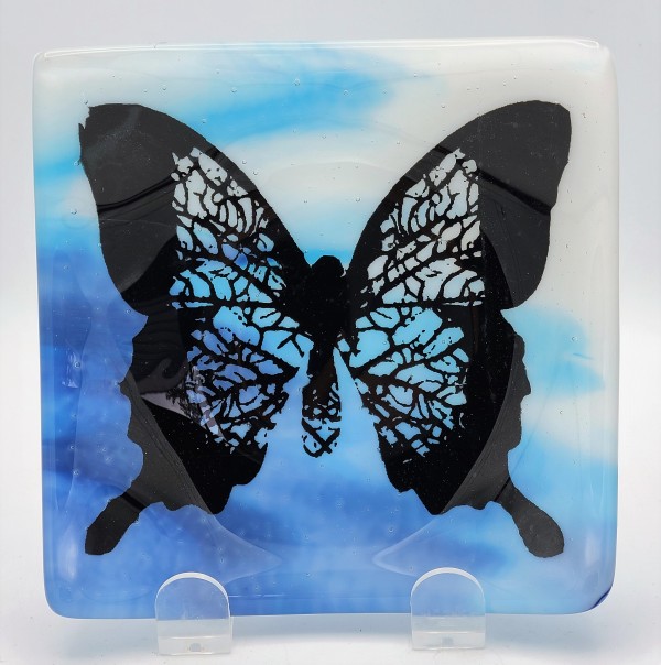 Small Plate-Butterfly on Blue/White Streaky by Kathy Kollenburn