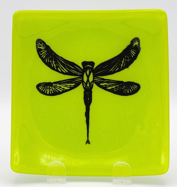 Small Plate-Dragonfly on Spring Green by Kathy Kollenburn