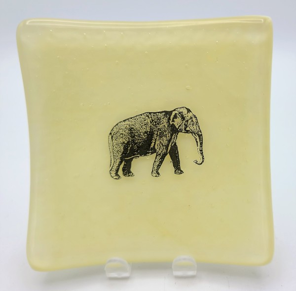 Small Plate-French Vanilla with Elephant by Kathy Kollenburn