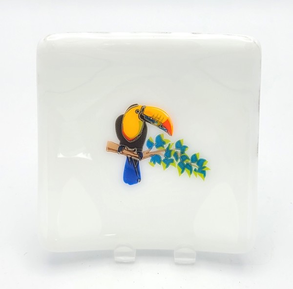 Small Plate-White with Colorful Toucan by Kathy Kollenburn