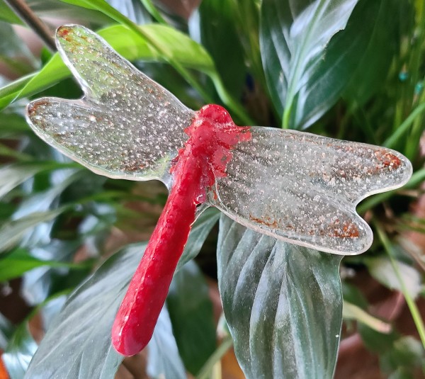 Plant Pick-Dragonfly, Medium-Red with Clear Wings by Kathy Kollenburn