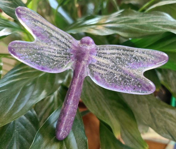 Plant Pick-Dragonfly, Medium-Purples by Kathy Kollenburn