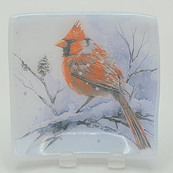 Trinket Plate-Cardinal in the Snow by Kathy Kollenburn