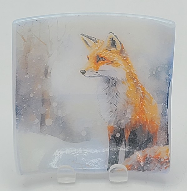 Trinket Plate-Fox in Snow by Kathy Kollenburn
