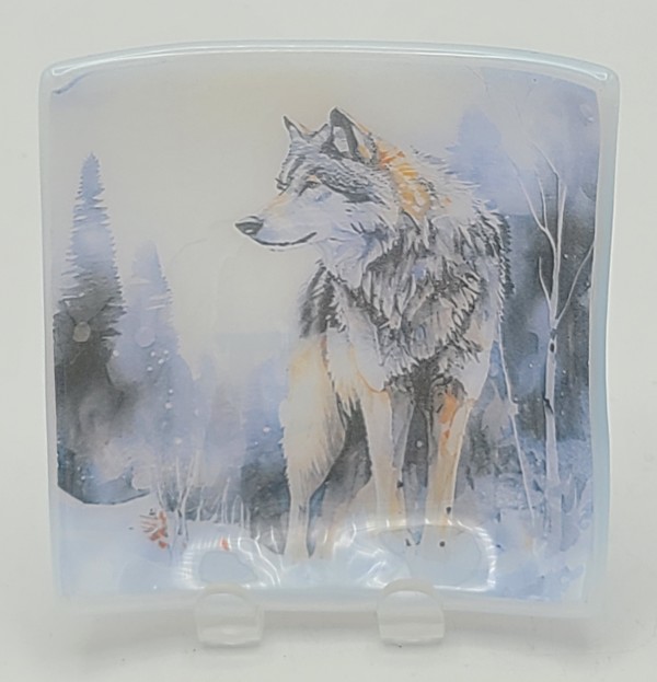 Trinket Plate-Wolf in Woods by Kathy Kollenburn