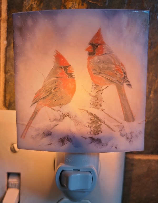 Nightlight with Pair of Cardinals in Snow by Kathy Kollenburn