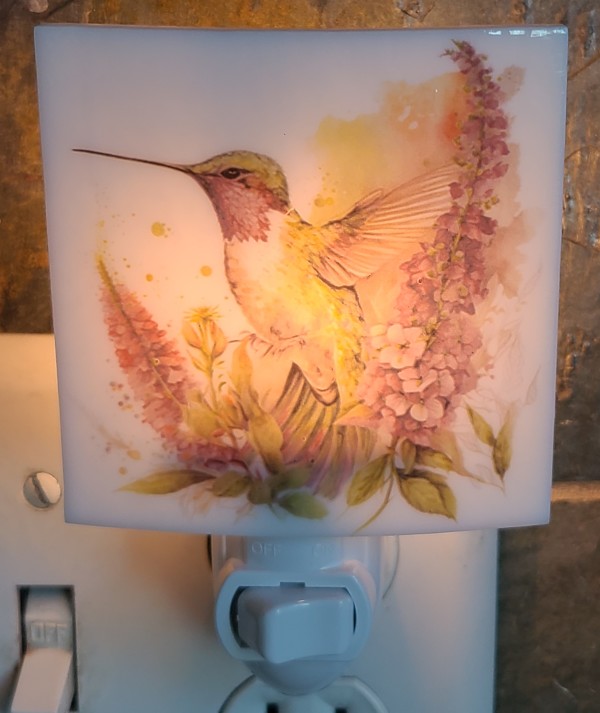 Nightlight with Hummingbird in Flowers by Kathy Kollenburn